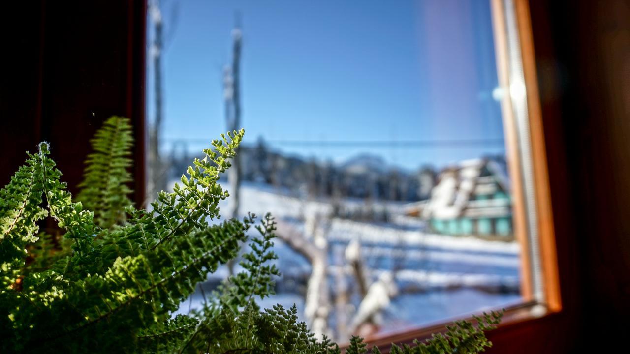 MSC Apartments Honeymoon Zakopane Buitenkant foto