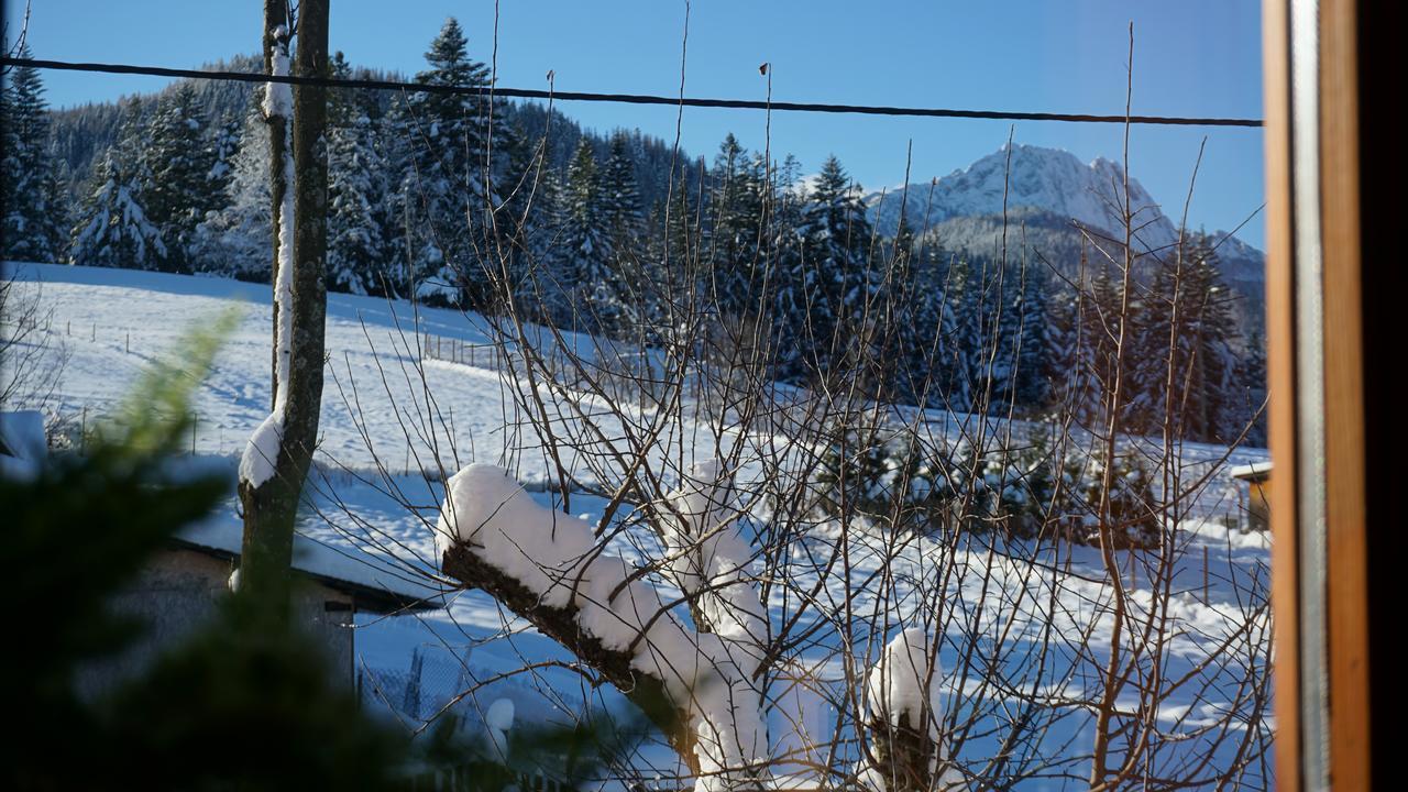 MSC Apartments Honeymoon Zakopane Buitenkant foto