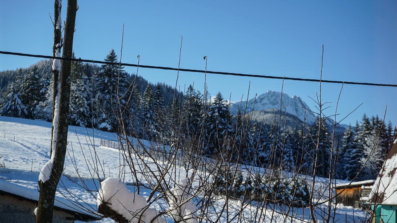 MSC Apartments Honeymoon Zakopane Buitenkant foto